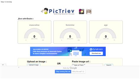 pictriev, face search engine